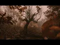 a playlist for living in an eternal autumn