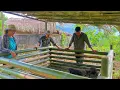 Download Lagu Big Dream: DUONG \u0026 NHAP borrowed more money to buy two piglets to raise with the help of Mr. DAU