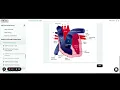 HESI A2 Anatomy and Physiology Practice Test 2023 25 Questions with Explained Answers