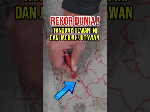 SEMUT INI MEMBAWA KEKAYAAN BAGI PEMILIKNYA #shorts