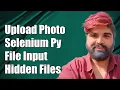 How to Upload a Photo in Selenium Python When File Input is Hidden