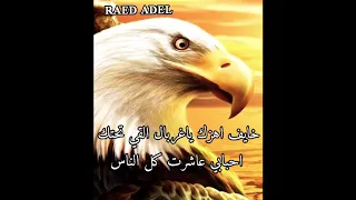 اقوي رد علي الخسيس خايف اهزك ياغربال الاقي تحتك احبابي رائد عادل 