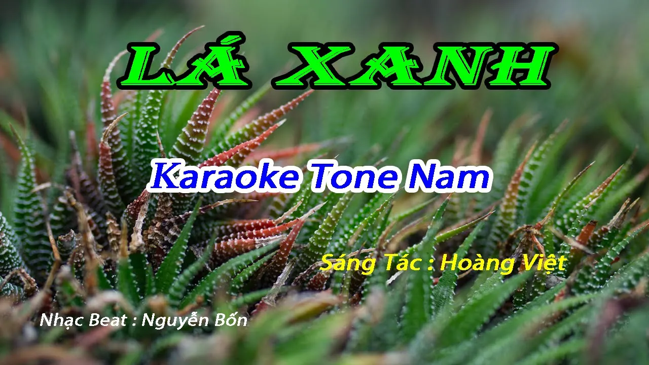 Karaoke Lá Xanh Tone Nam