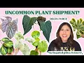 Download Lagu New plant shipment at our shop: Rare \u0026 uncommon plants! 
