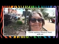 Stevens Point Wisconsin a nice small city