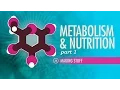 Metabolism Nutrition Part 1 Crash Course Anatomy Physiology