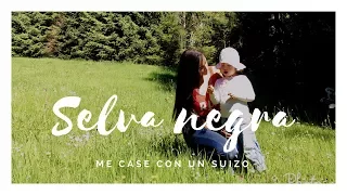 NATURALEZA ESPECTACULAR – Selva Negra, Alemania. (#17)