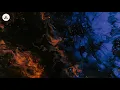 Nandy - Nimekuzoea (Lyric/Lyric Video)