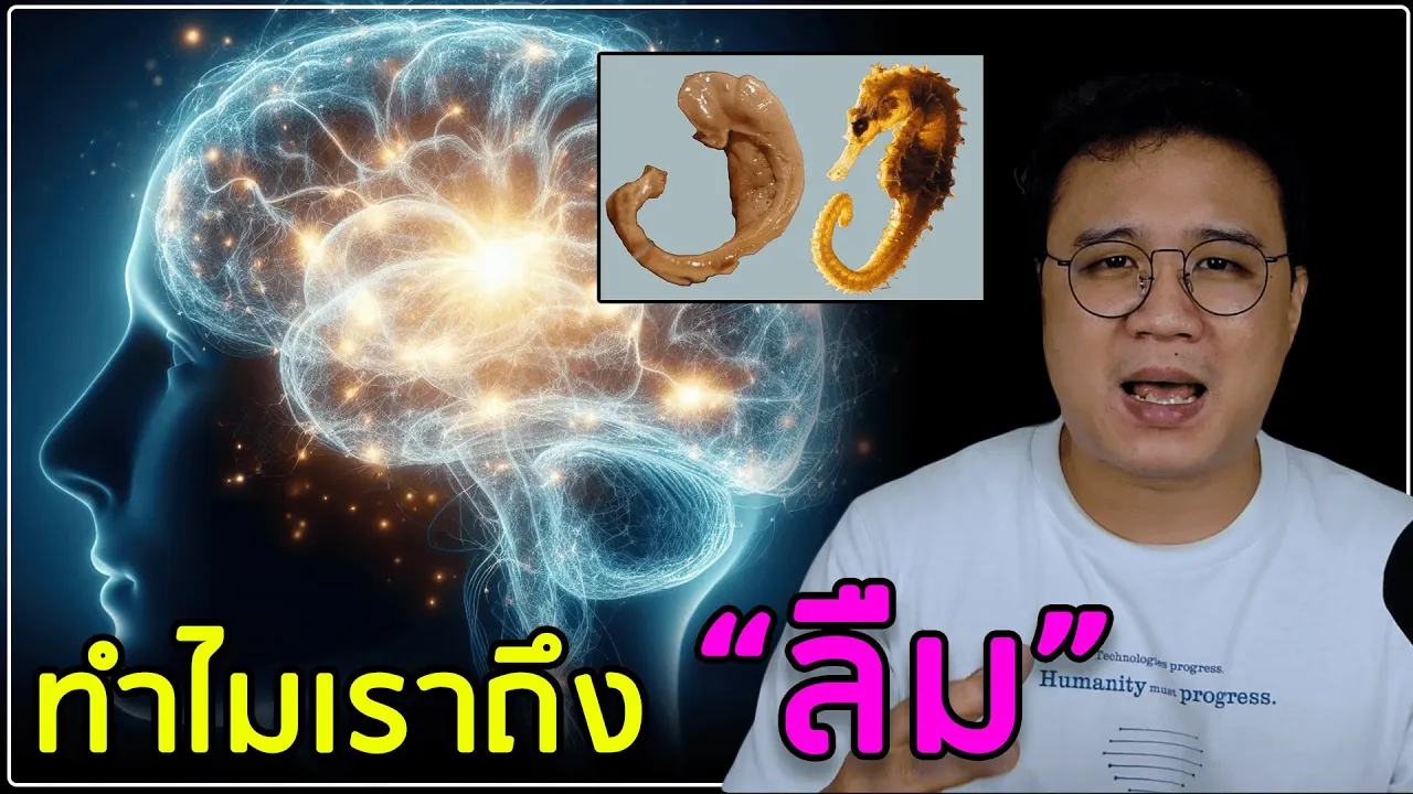 ทำไมคนเราต้องลืม (และความจำคืออะไร)