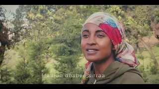 Siifan Urgeechaa Biiftuu New Oromo Music Vedio 2025 