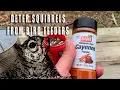 Deter and minimize squirrels at your bird feeders