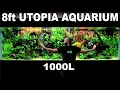 The 8ft Utopia Aquarium EPIC 1000L Build over 300 Fish Aquascape Tutorial