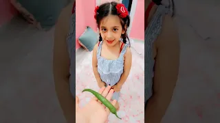 البنات ربحوا كوكتيل بس ليليان لا ليش 