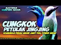 Download Lagu MASTERAN CUCAK CUNGKOK VS PETULAK JINGJING MESIN JAHIT || CUNGKOK GACOR || JINGJING GACOR JERNIH