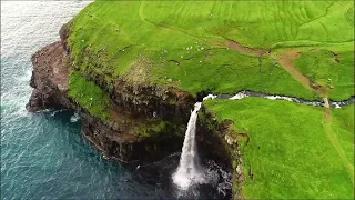 When Flowers Grew Wild Trending Instagram Reel Song By Matthew Mayer 