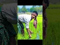 Download Lagu #bollywood #hindi #shorts #shortvideo #youtubeshorts #viralvideo #tranding #status
