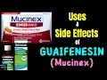Guaifenesin Mucinex Robitussin - Side Effects Uses Mechanism of Action Dosage Warnings