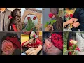 Red Rose Picture Flower Dp Red Rose Status Picture Story rose day 2025