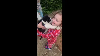 Meadow tells the story of her cat that died
