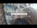 Download Lagu Vlog n°96 : Juin 2025
