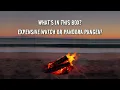 Dominic Fike – Pangea (Lyrics) 🌊 | Aesthetic Lyric Video
