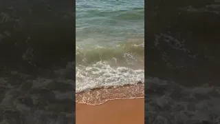 فريد الاطرش   يأ احلى شئ فى الكون دندنها