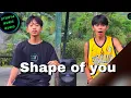 Download Lagu Shape of you ( Cover )