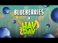 Download Lagu Blueberries and Capybaras in Hay Day?!