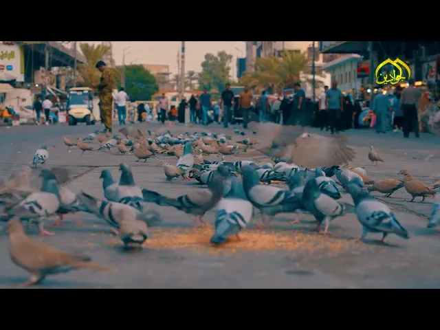 ⁣الى رحاب الجمال يتوافد العشاق لينهلوا من نمير القداسة الكاظمية وليستنشقوا عبير الخلد الجوادي.