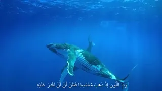 وذا النون إذ ذهب مغاضبا إسلام صبحي Beautiful Recitation 