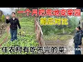 夫妻俩用一个月的时间把荒地变成菜园, 各种蔬菜应有尽有  住在农村的好处就是有吃不完的蔬菜