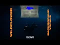 Download Lagu BILLIE EILISH - WILDFLOWER (background vocals)