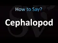 How to Pronounce Cephalopod CORRECTLY
