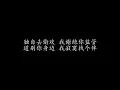 独自去偷欢 刘德华 (歌词版)
