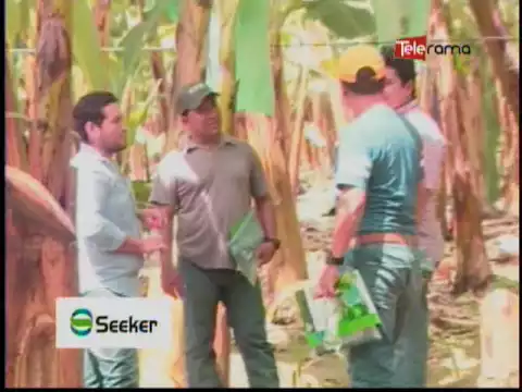 Ecuador Agropecuario 29-08-2016