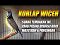 Lagu TEMBAKAN MEWAH!! BURUNG KORLAP WICEH GACOR FULL NGECRET - KOLIBRI MANGGAR KELAPA NGOBRA FULL ISIAN
