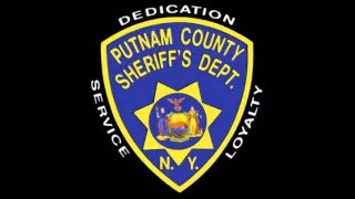 Newburgh Woman Charged with Larceny at Home Depot in Brewster