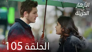 الأزهار الحزينة الحلقة 105 كاملة Kırgın Çiçekler 