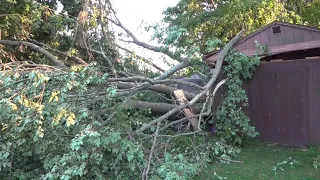 Storm debris buries thousands of dollars of equipment in Milford backyard