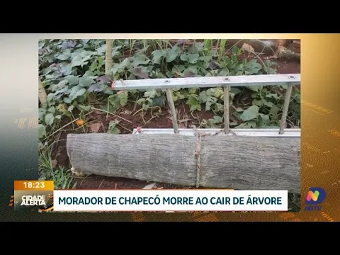 Morador de Chapecó morre ao cair de árvore durante corte de galhos