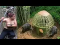 Lagu 30 Days Facing Ferocious Wild Animals – Primitive Survival Alone in the Wilderness