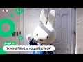 Download Lagu Hiep hiep hoera! Nijntje is 70 jaar