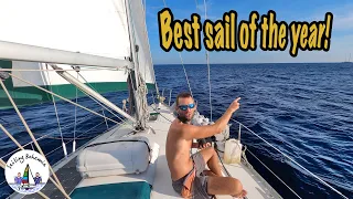 Best sail of the year! Sailing Bohemia Ep.85