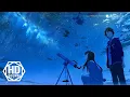 Download Lagu Most Beautiful Music Ever: \