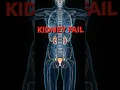 Download Lagu Does creatine cause kidney failure? Never take creatine without knowing these 5 facts! #creatine ...