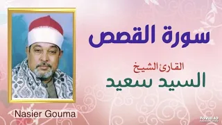 الشيخ السيد سعيد ما تيسر من سورة القصص 
