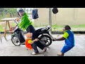 Lagu CUTIS \u0026 baby monkey beg mom stay home for special unbelievable reason😯
