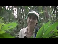 Wu Judy Chin-tai - Forest Rhapsody (The Forest Show) (Official MV)