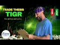 Swing Trade Idea - TIGR