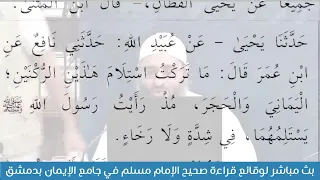 بث مباشر لوقائع قراءة صحيح الإمام مسلم في جامع الإيمان بدمشق دندنها